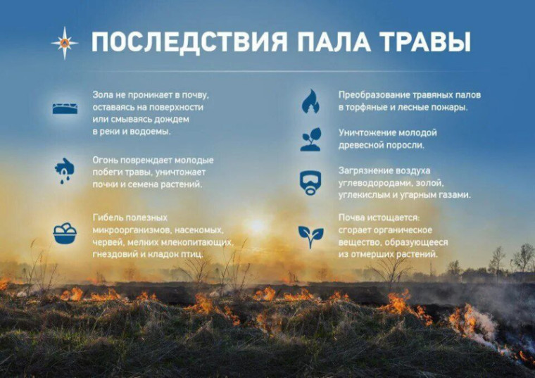 Последствия пала травы!. Последствия пала травы!.